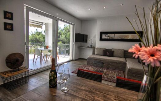 Apartment in City Center